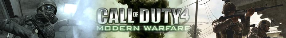 http://www.lanpartyguide.com/images/cod4_banner.jpg